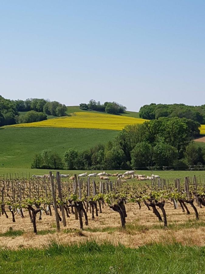 Camping D'Artagnan Margouet-Meymes Exteriör bild